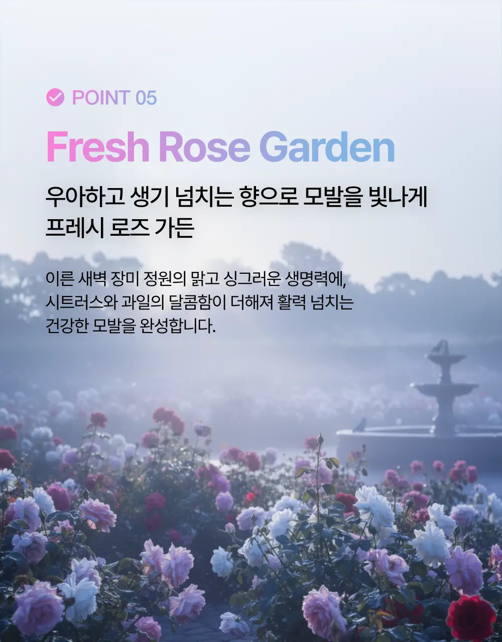 [올영/화해 1등] 프롬랩스 단백질 흡착 트리트먼트 200ml 더블기획(1회 만에 손상모 개선) 상세페이지 31